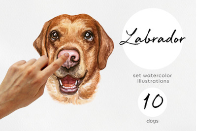 Labrador Retriever. Watercolor dogs illustrations. Cute 10 dogs.