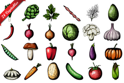 24 Vegetables Hand Drawn Sketch