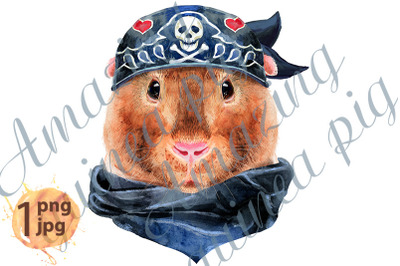 Watercolor portrait of Teddy guinea pig wearing biker bandana