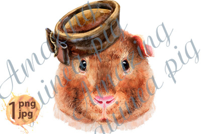 Watercolor portrait of Teddy guinea pig with brown hat