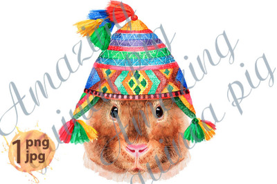 Watercolor portrait of Teddy guinea pig in chullo hat
