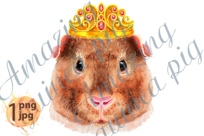 Watercolor portrait of Teddy guinea pig with golden crown