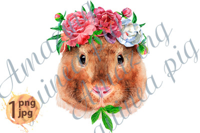 Watercolor portrait of Teddy guinea pig with flowers