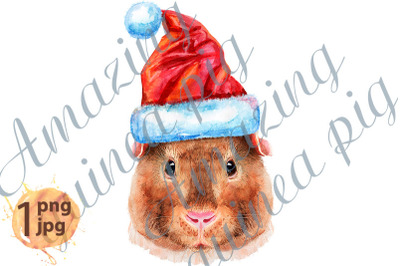 Watercolor portrait of Teddy guinea pig with Santa hat
