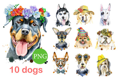 10 watercolor dog portraits 5
