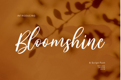 Bloomshine Script Font