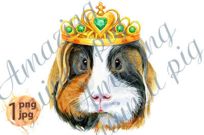 Watercolor portrait of Sheltie guinea pig with golden crown