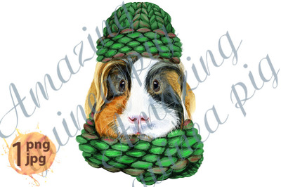 Watercolor portrait of Sheltie guinea pig pig in a knitted hat