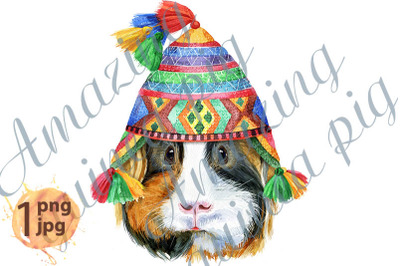 Watercolor portrait of Sheltie guinea pig in chullo hat