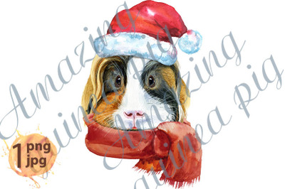 Watercolor portrait of Sheltie guinea pig with Santa hat