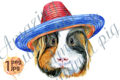 Watercolor portrait of Sheltie guinea pig in sombrero hat