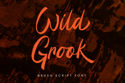 Wild Grook - Brush Script Font