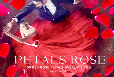 Petals red rose Overlays