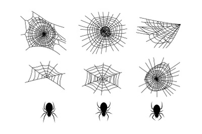 collection of spiders and webs