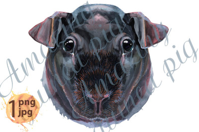 Watercolor Skinny Guinea Pig illustration