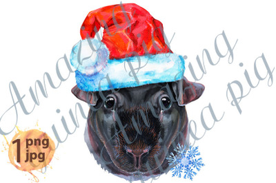 Watercolor portrait of Skinny Guinea Pig in Santa hat