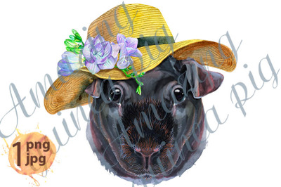 Watercolor portrait of Skinny Guinea Pig in summer hat