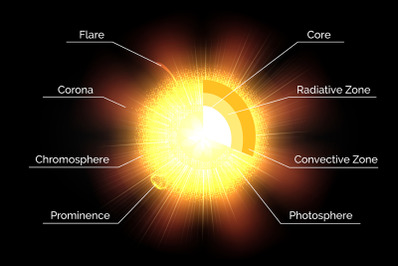 The Sun structure