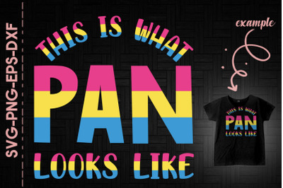 This Is What Pan Looks Like Pansexual