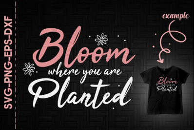 Bloom Where You Are Planted