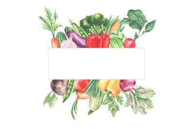 Vegetable harvest watercolor frame. Watercolor vegetables. Vitamins.