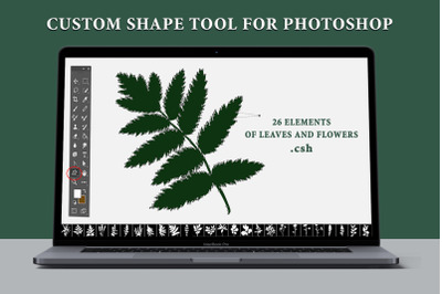 Leaves and flowers. Custom Shape Tool for Photoshop