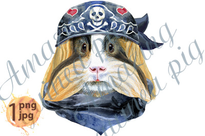 Watercolor portrait of Sheltie Guinea Pig in biker bandana
