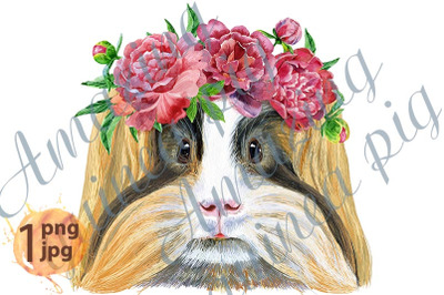 Watercolor portrait of Sheltie Guinea Pig with freesia wreath