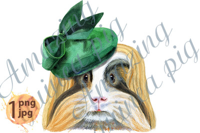 Watercolor portrait of Sheltie Guinea Pig in green hat