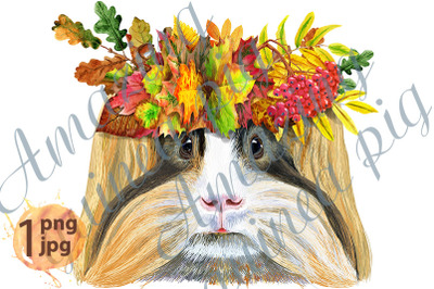 Watercolor portrait of Sheltie Guinea Pig in a wreath of autumn leaves