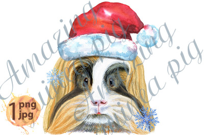 Watercolor portrait of Sheltie Guinea Pig in Santa hat