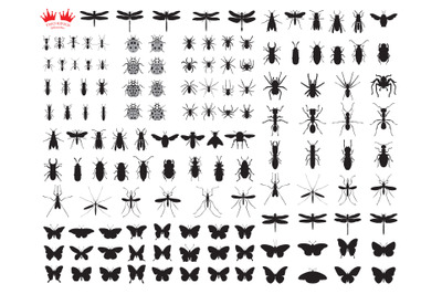 Svg cutting file, Illustration with insect silhouettes isolated on whi