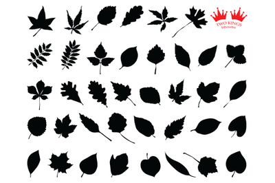 SVG leaf silhouette black set, decoration element design. Vector leaf