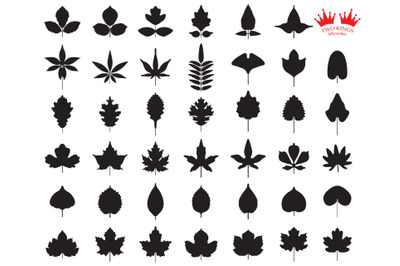 Set of different leaves isolated on white background. Leaf icon set ve