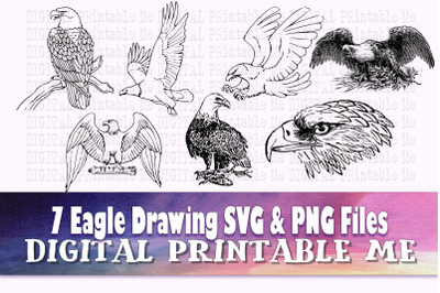 Eagle SVG, line art drawing PNG,  Clip Art Pack , 7 Images, Pack, Instant Download, Digital, vector, bundle, bird of prey, hawk, outline