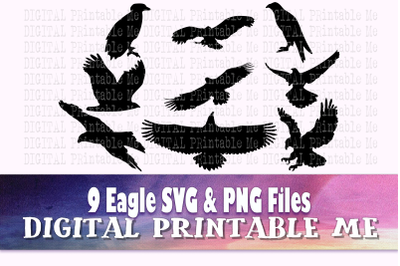 Eagle SVG, silhouette PNG, American bald eagle flying Clip Art Pack, 9