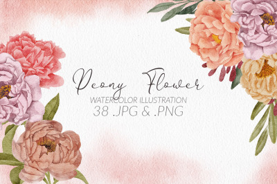 38 Watercolor Peony Flower Illustration Set