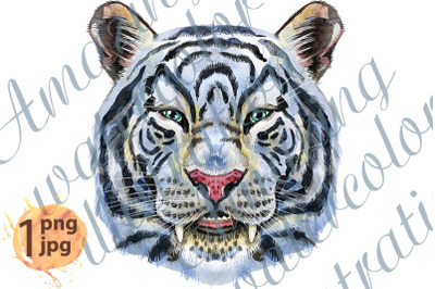 Colorful white smiling tiger. Wild animal watercolor illustration