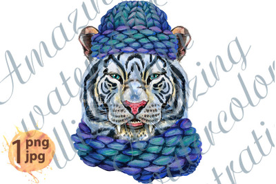Colorful white smiling tiger in a blue knitted hat