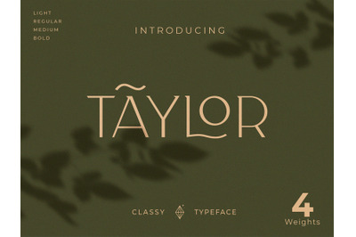 Classy Taylor Typeface
