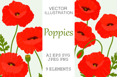 Poppies flowers. Poppies SVG. Poppy vector. Provence flower