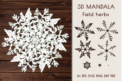 3D Mandala &quot;Field herbs&quot;.