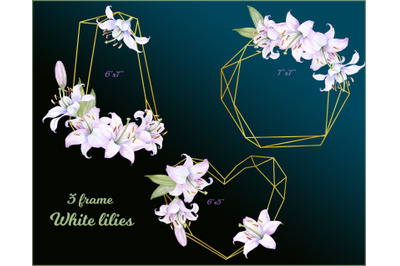 3 golden frame with flowers of white lilies Clipart PNG