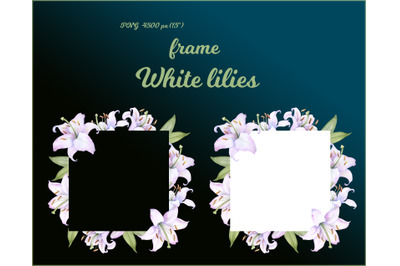Square frame with watercolor white and pink lily flowers