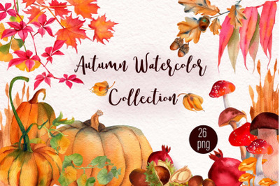 Watercolor Autumn woodland Collection