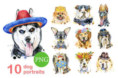 10 watercolor dog portraits 7