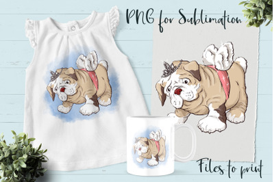 Cute bulldog  sublimation. Design for printing.
