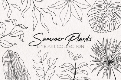 Summer Plants Line Art Collection