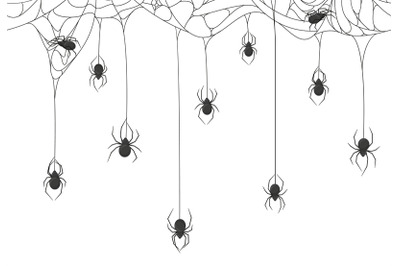 Halloween spiders background. Black spiders on spooky halloween hangin