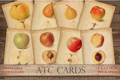 Vintage botanical ATC cards